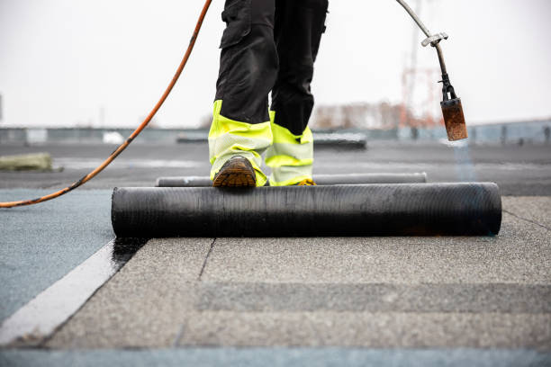 Best Roof Ventilation Installation  in Webberville, MI